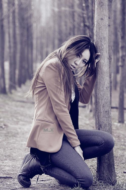 av手机天堂应用主界面展示